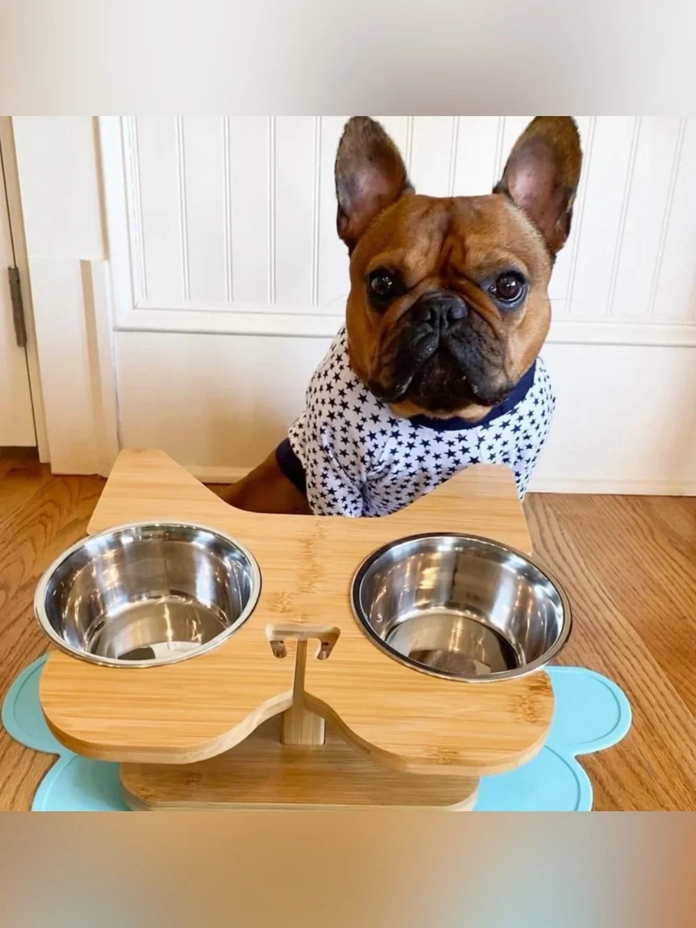 🐶🥣 NibbleyPets Elevated Dog Bowl Stand with Stainless Steel Bowls – 3-Piece Set